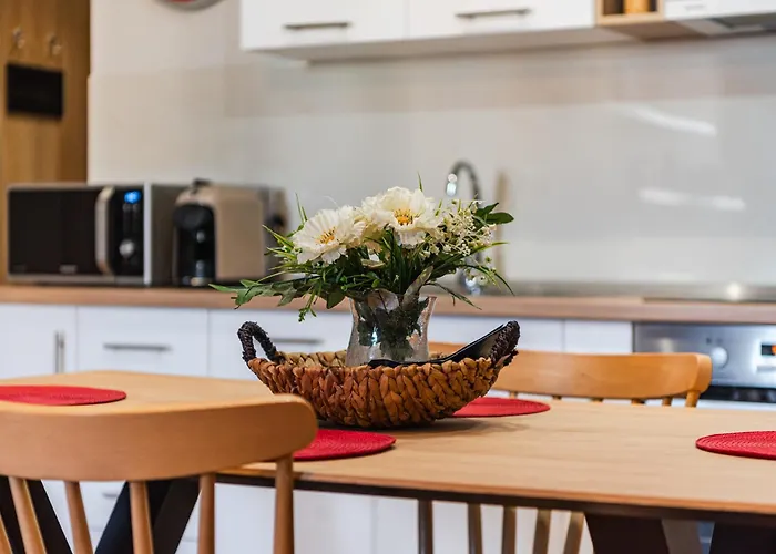 Bright L 15-min Walk To Center 公寓